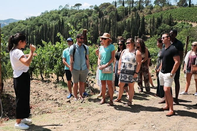 Chianti Wine Tour from Florence - Why this Chianti outing works from Florence
