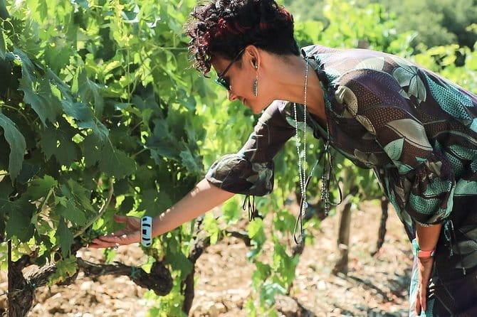 Chianti Wine Tour from Florence - First winery: organic production and local snacks