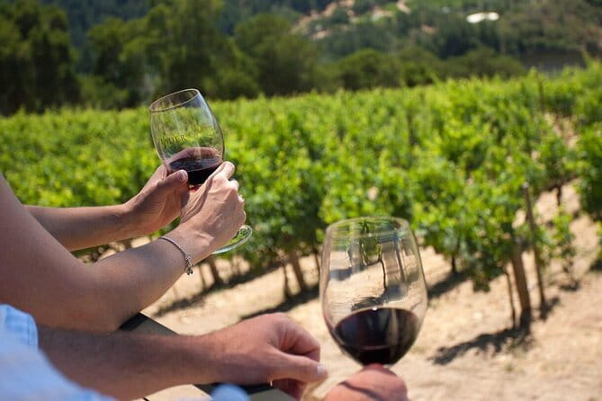 Chianti Wine Tour from Florence - Group size, comfort, and practical details