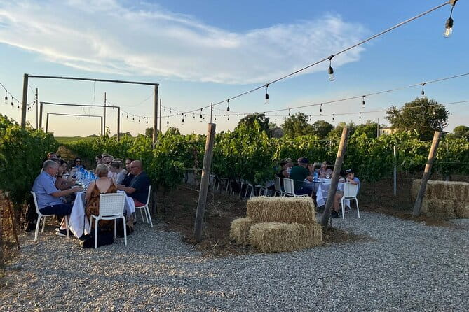 Chianti Wine Tour from Florence with Tastings - Olive oil, balsamic vinegar, and Tuscan snacks