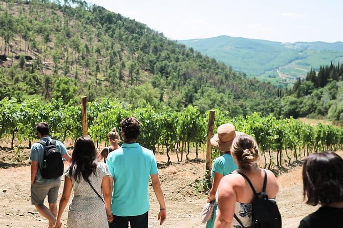 Chianti Wine Tour from Florence - Riding the Via Chiantigiana into the hills