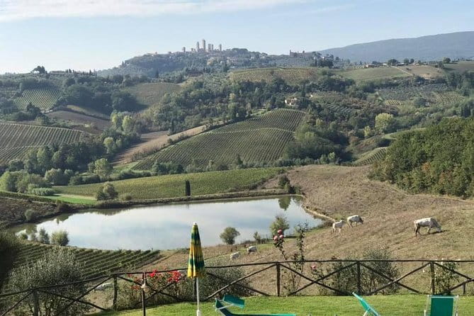 Chianti Wineries Tour with Tuscan Lunch and San Gimignano - Why this Chianti day works so well