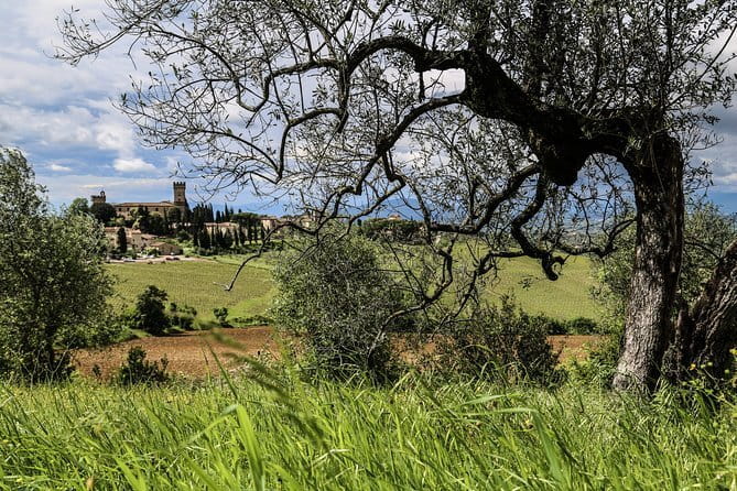 Chianti Wineries Tour with Tuscan Lunch and San Gimignano - San Gimignano in 90 minutes