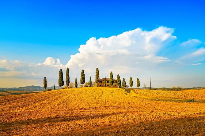 Cinque Terre and Pisa Full Day Tour from Florence - Monterosso: your best chance to swim