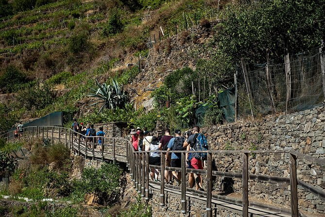 Cinque Terre Day Trip with Optional Hiking or Pisa - Why this day trip works from Florence