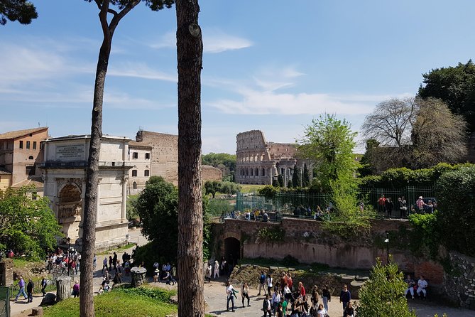 Colosseum Arena Floor, Roman Forum and Palatine Hill Guided Tour - My verdict on the Colosseum arena-floor tour