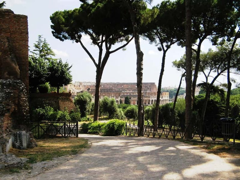Colosseum, Forum & Palatine Hill Guided Walking tour - Reading the Roman Forum for one hour