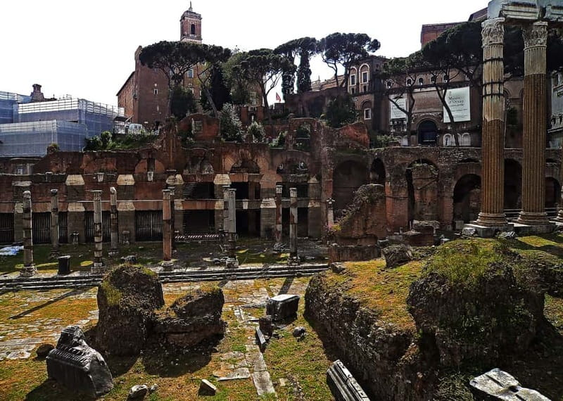 Colosseum, Forum & Palatine Hill Guided Walking tour - Palatine Hill and the views over ancient Rome