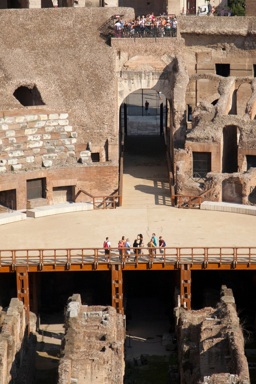 Colosseum with Arena Floor, Palatine Hill & Forum Tour - Palatine Hill and the view over ancient Rome