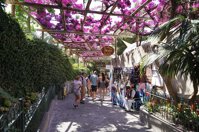 Day Trip to Positano, Amalfi & Ravello from Sorrento - Who should book this outing
