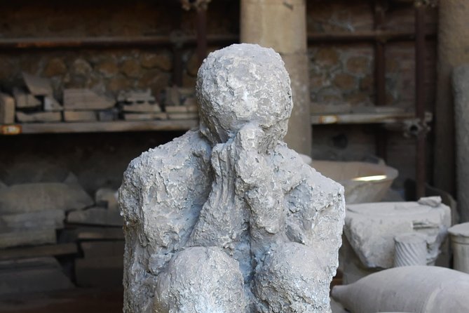 Discover the Ancient Ruins of Pompeii: Day Trip from Rome - Is the value good?