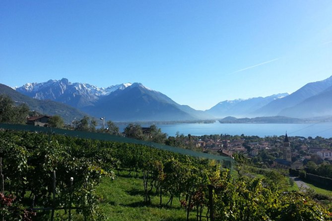 Domaso: Wine Tasting at the Winery on Como Lake - Touring the Cellar and Wine Production Areas