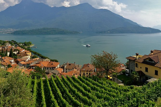 Domaso: Wine Tasting at the Winery on Como Lake - Who Will Enjoy This Most?