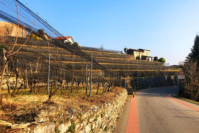 E-Bike Tour Lake Como and Swiss Vineyards - The return ride and Baradello Castle story