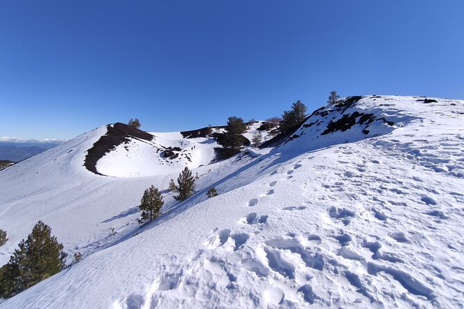 Etna and Alcantara Gorges Excursion - Etna’s lava fields are the main event