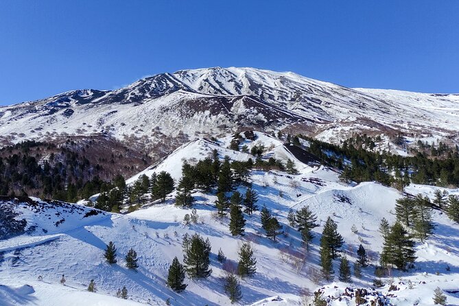Etna and Alcantara Gorges Excursion - Is $107.68 good value for this day?