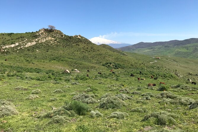 Etna Morning Jeep Tour - Guides make the difference