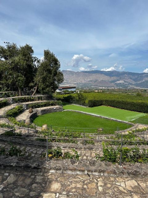 Etna: Wine Tasting and Food Tour - Walking through the vineyards after lunch