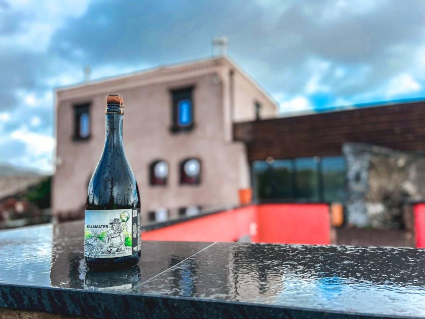 Etna: Wine Tasting and Food Tour - Group size, language, and the feel of the day