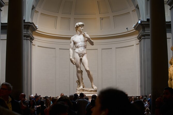 Florence Accademia Guided Tour – Shared, Private & Combo Options - Why David deserves a guided visit