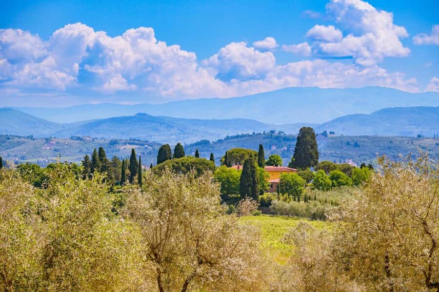 Florence: Chianti E-Bike Tour with Lunch & Two Wine Tastings - Tuscan Views You Can Reach Only by Bike