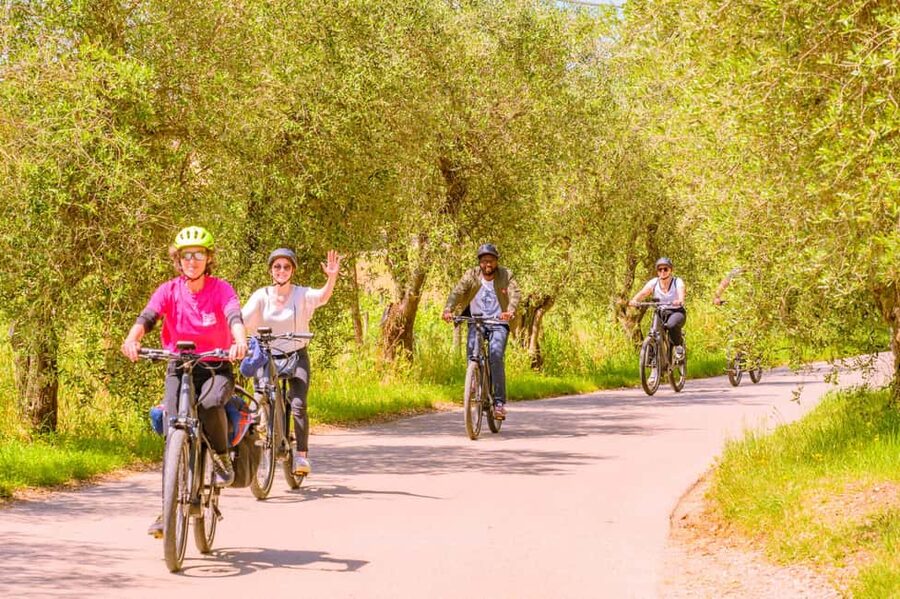 Florence: Chianti E-Bike Tour with Lunch & Two Wine Tastings - Is $116 a Fair Price?