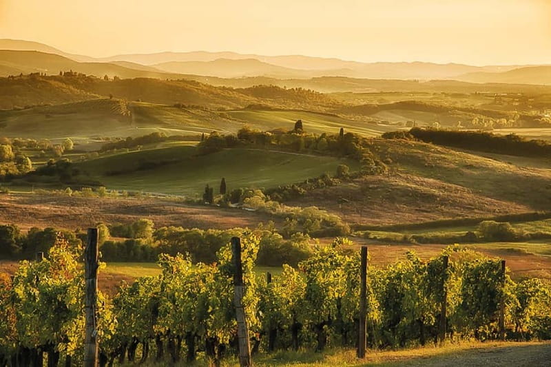 Florence: Chianti Vineyards Tour with Wine Tasting & Dinner - Should you book it?