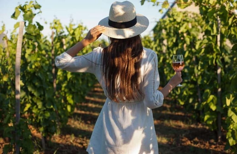 Florence: Chianti Vineyards Tour with Wine Tasting & Dinner - The Tuscan dinner among the vines