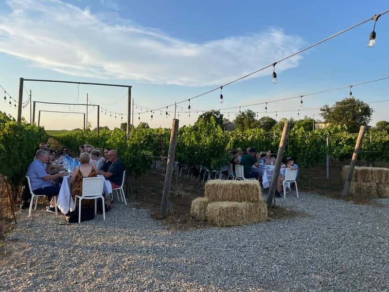 Florence: Chianti Vineyards Tour with Wine Tasting & Dinner - What the outdoor setting adds