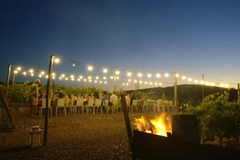 Florence: Chianti Vineyards Tour with Wine Tasting & Dinner - Is $123.48 a fair price?