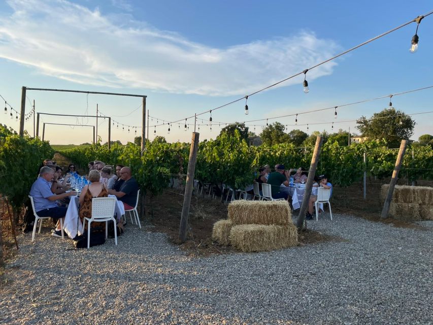 Florence: Chianti Vineyards Tour with Wine Tasting & Dinner - Practical tips for a smoother evening
