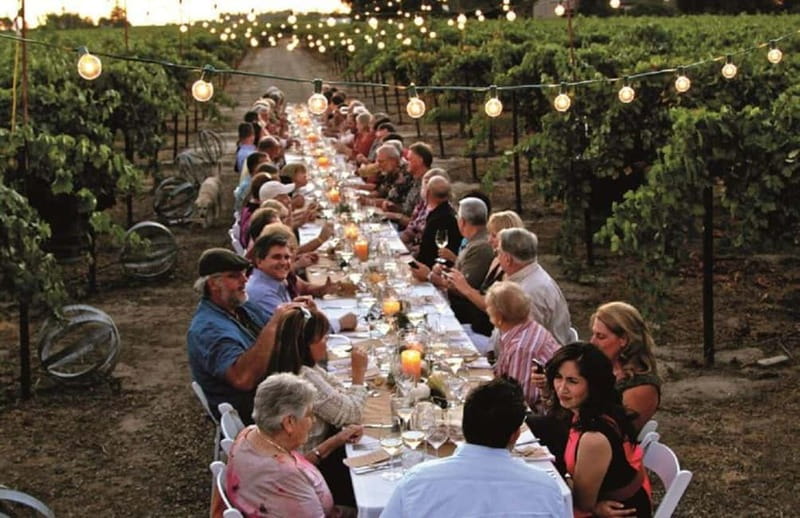 Florence: Chianti Vineyards Tour with Wine Tasting & Dinner - Touring the estate winery