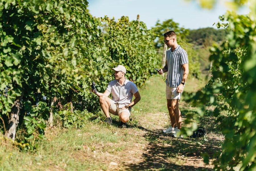 Florence: Chianti Wineries Tour with Wine Tasting - The ride back to Florence