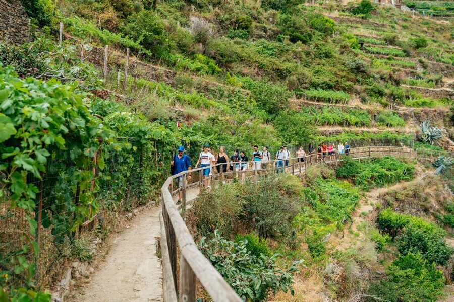 Florence: Cinque Terre Day Trip with Optional Hike - Why this Florence day trip works