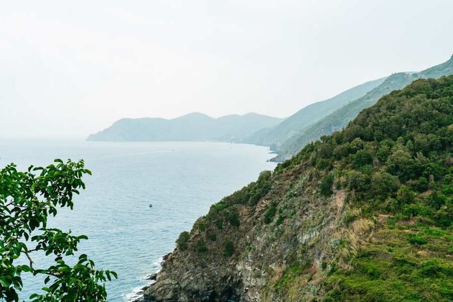 Florence: Cinque Terre Day Trip with Optional Hike - Vernazza, a good place to pause