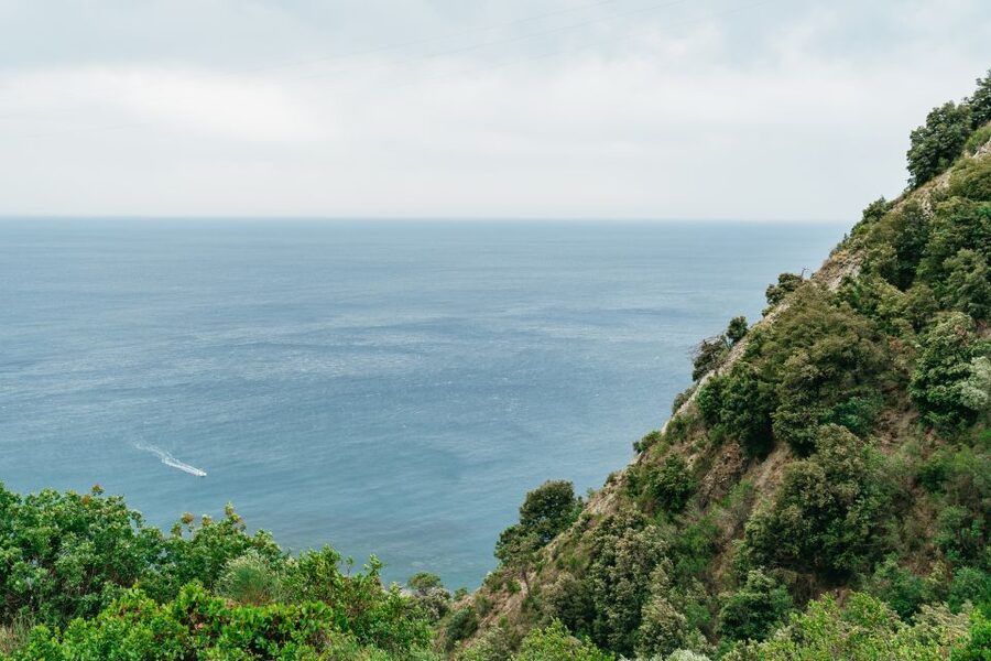 Florence: Cinque Terre Day Trip with Optional Hike - The boat ride along the coast