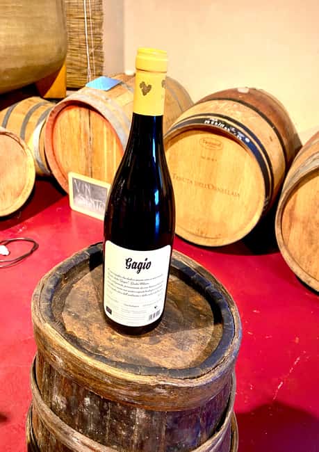 Florence: Countryside Tour with Wine Tasting & Pasta Class - Should you book this Tuscan farm day?