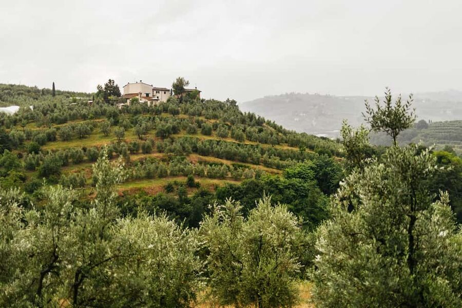 Florence: Countryside Vintage Fiat 500 Driving Tour - Leaving Florence by cypress-lined roads