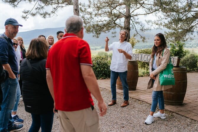 Florence Day Trip: Chianti Wine Tasting, Siena, San Gimignano - What this Florence day trip really delivers