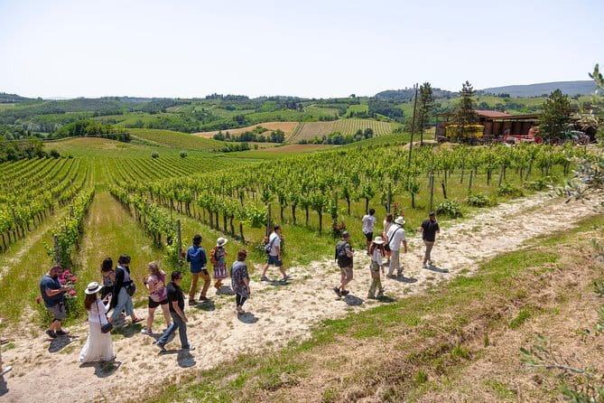 Florence Day Trip: Pisa, San Gimignano and Siena with Lunch - Tuscan lunch and wine tasting at a Chianti winery