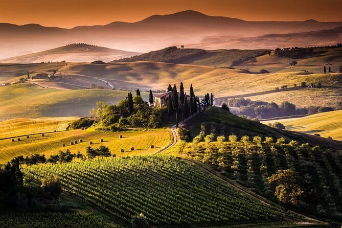 Florence Food Tour: Home-Made Pasta, Truffle, Cantucci, Olive Oil, Gelato - Dietary needs and practical limits
