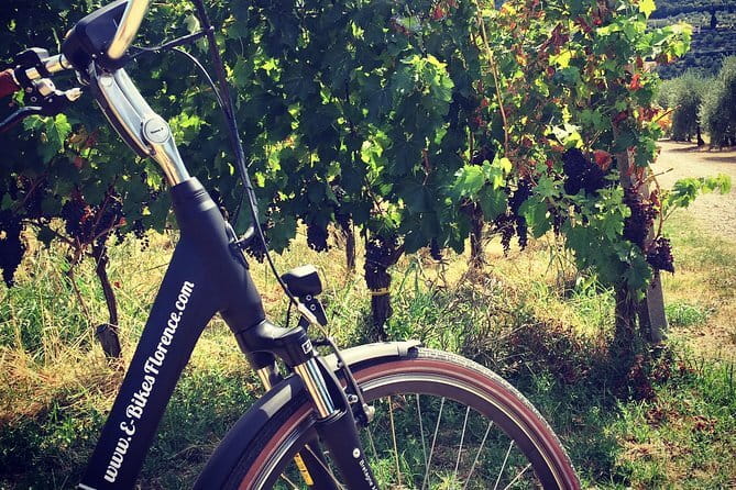 Florence Hills E-Bike Tour with Gelato Tasting - Guides make the difference on a small-group ride