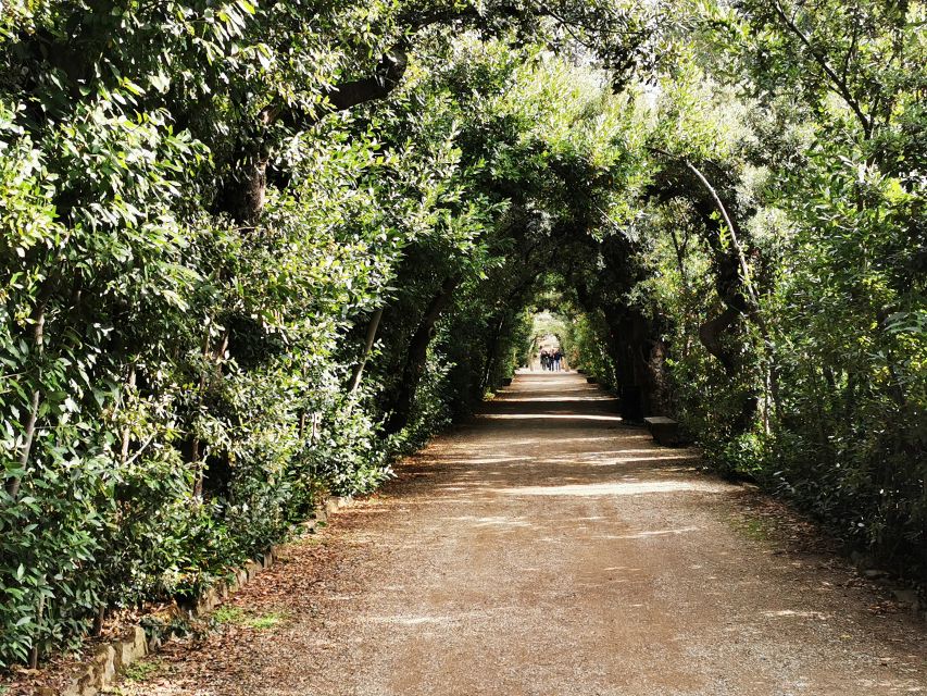 Florence: Pitti Palace, Boboli Garden, Palatine Gallery Tour - The Courtyard Sets the Tone