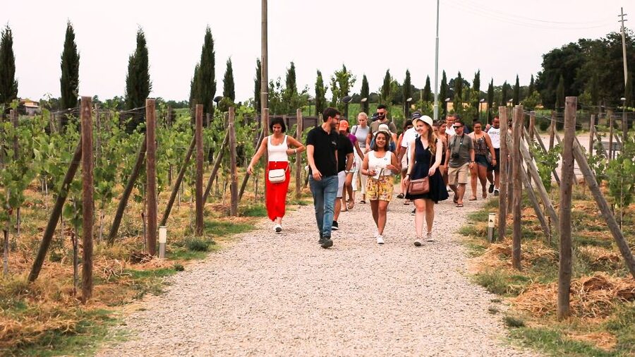 Florence: S. Gimignano, Siena, Chianti & Wine Tasting Lunch - Siena: grand streets, Piazza del Campo and the cathedral