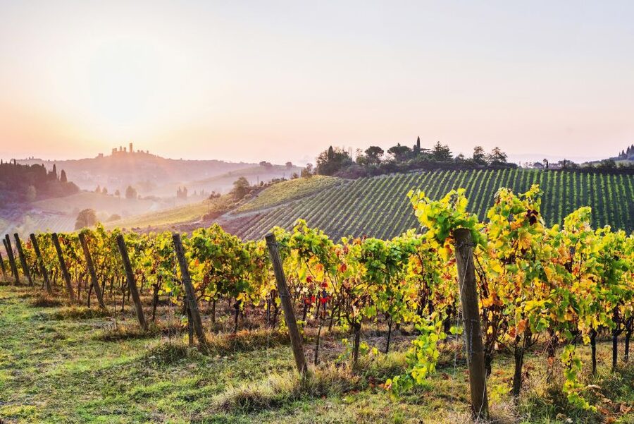 Florence: Siena & San Gimignano Day Trip with Lunch & Wine - Siena: a guided introduction, then time to wander