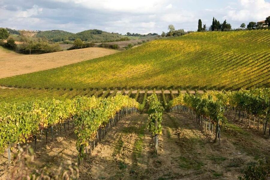 Florence: Siena & San Gimignano Day Trip with Lunch & Wine - San Gimignano and its famous towers