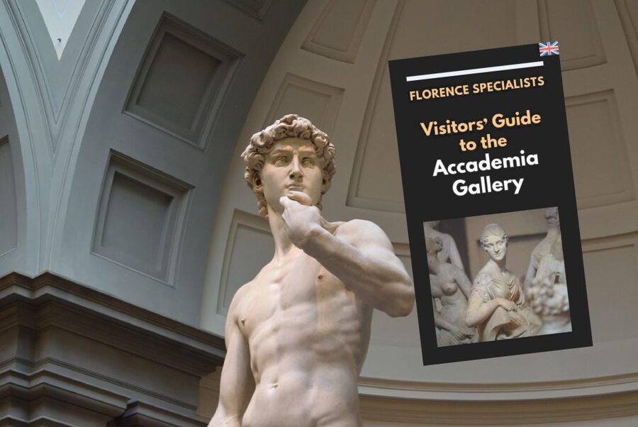 Florence: Timed Entry Ticket to Michelangelo's David & eBook - Why Michelangelo’s David is worth the trouble