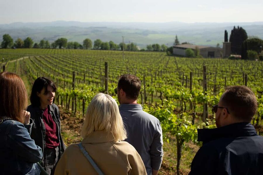 Florence: Valdorcia Wine, Brunello Montalcino, Montepulciano - Pienza, Pecorino, and lunch above the valley