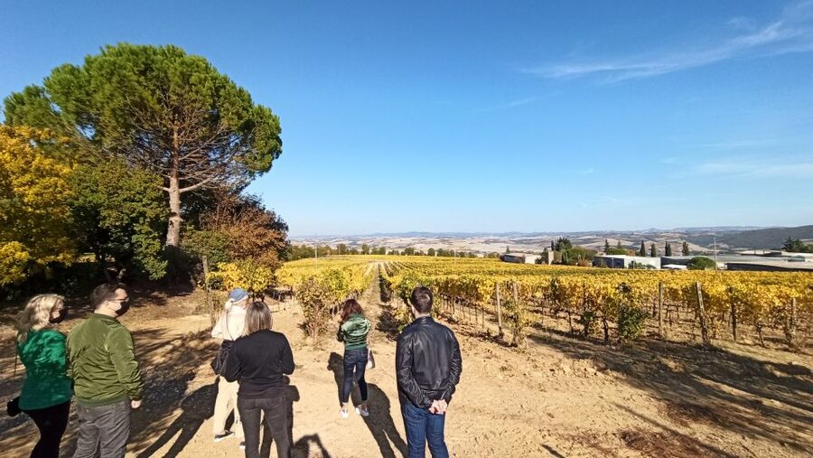 Florence: Valdorcia Wine, Brunello Montalcino, Montepulciano - Montepulciano’s underground cellars