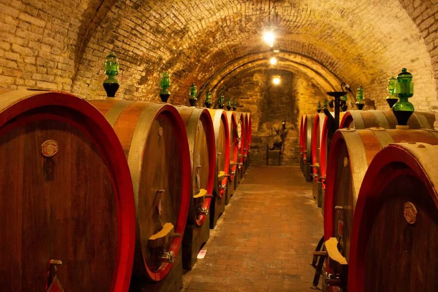 Florence: Valdorcia Wine, Brunello Montalcino, Montepulciano - How the transport and group size affect the day